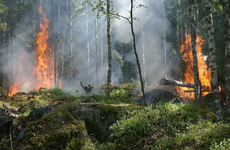 Proroga della fase di pre-allarme per gli incendi boschivi su tutto il territorio regionale