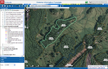 Approvata la nuova Carta Forestale Regionale 2025